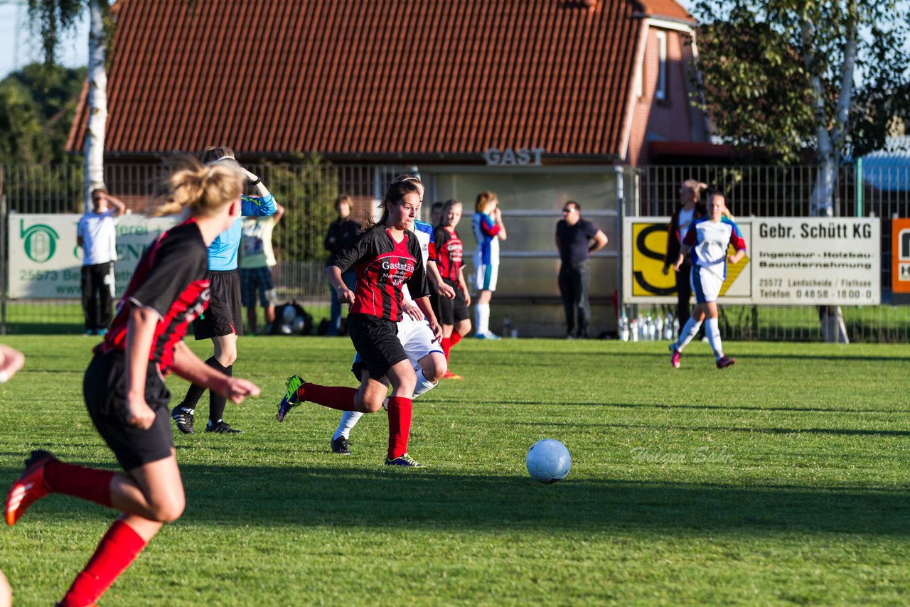 Bild 221 - B-Juniorinnen SG Wilstermarsch - SV Henstedt Ulzburg : Ergebnis: 5:1